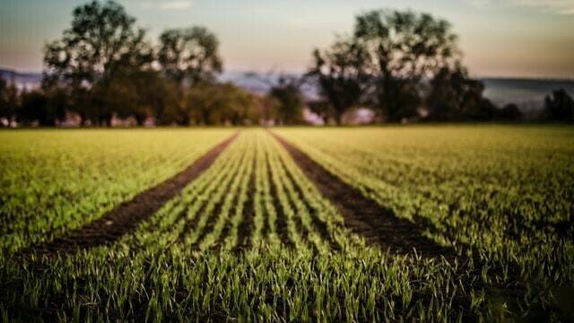 agriculture-sostenible-ecoculture|Ecoculture-Ángel-Ruiz-Serna|ecoculture-nhdeltafe